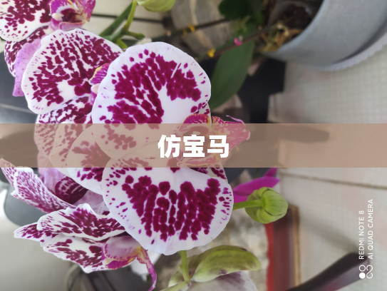 仿宝马