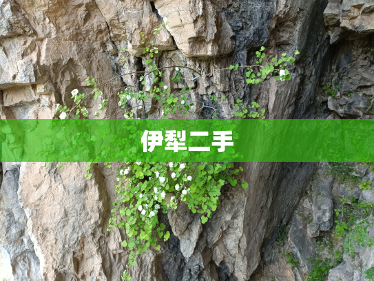 伊犁二手