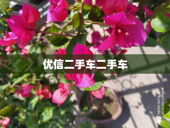优信二手车二手车