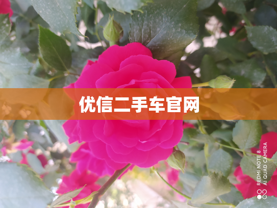 优信二手车官网