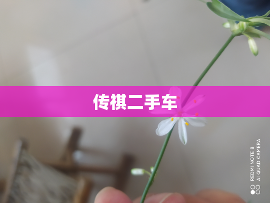 传祺二手车