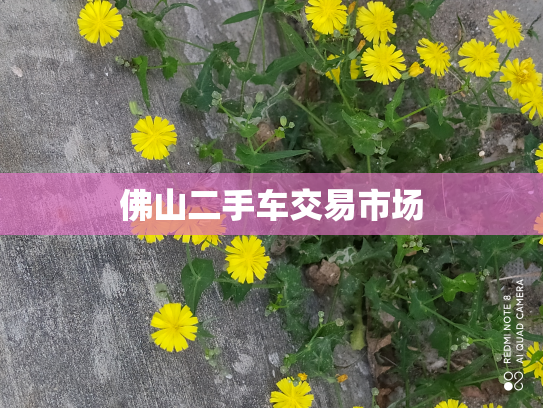 佛山二手车交易市场