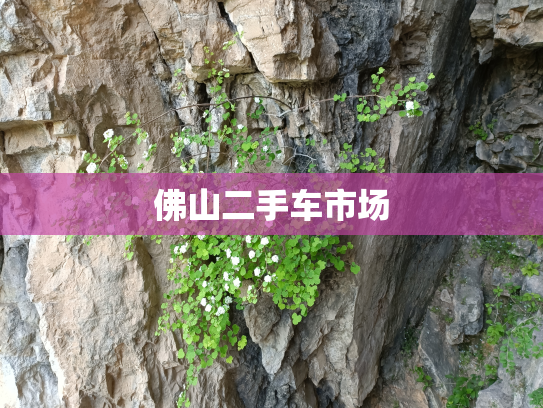 佛山二手车市场