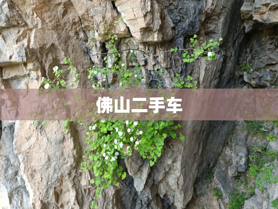 佛山二手车