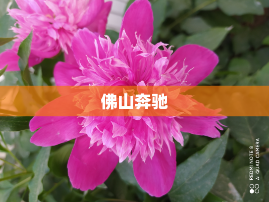 佛山奔驰