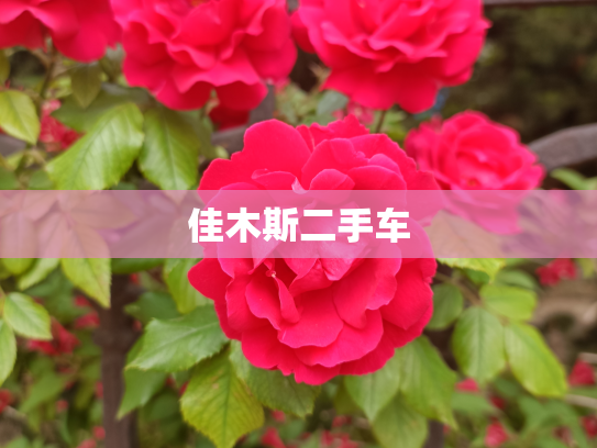 佳木斯二手车