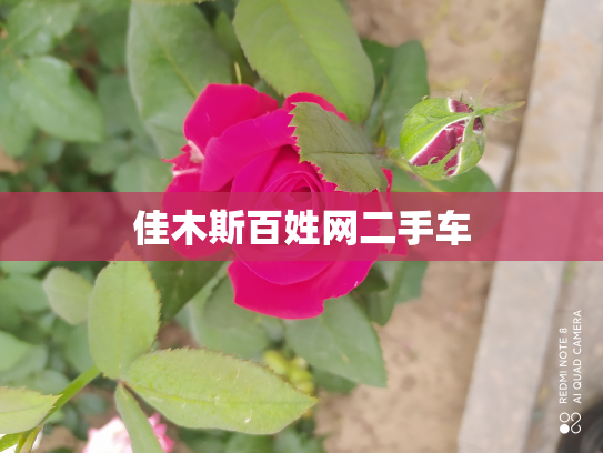 佳木斯百姓网二手车
