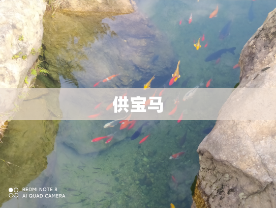 供宝马