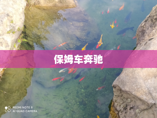 保姆车奔驰