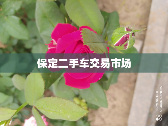 保定二手车交易市场