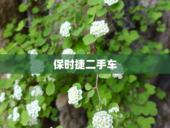 保时捷二手车