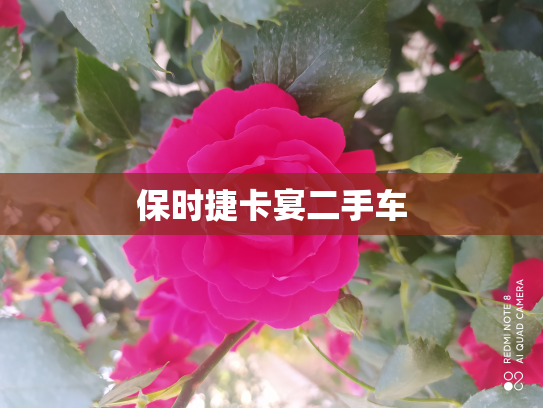 保时捷卡宴二手车