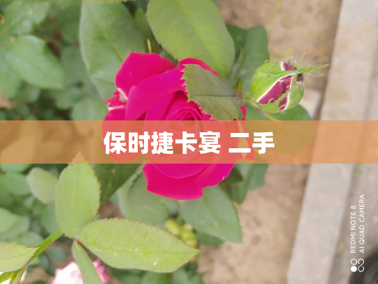 保时捷卡宴 二手