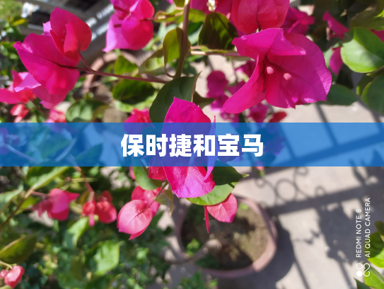 保时捷和宝马