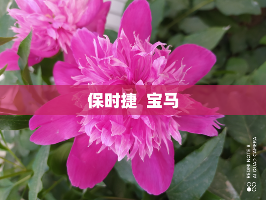 保时捷  宝马