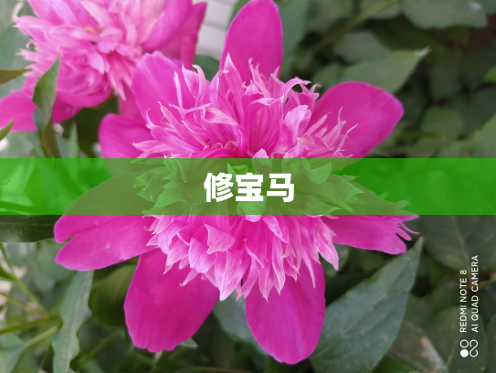 修宝马