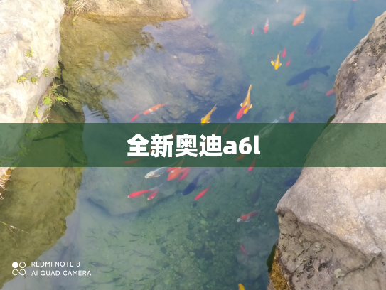 全新奥迪a6l