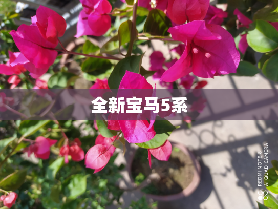全新宝马5系