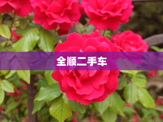 全顺二手车
