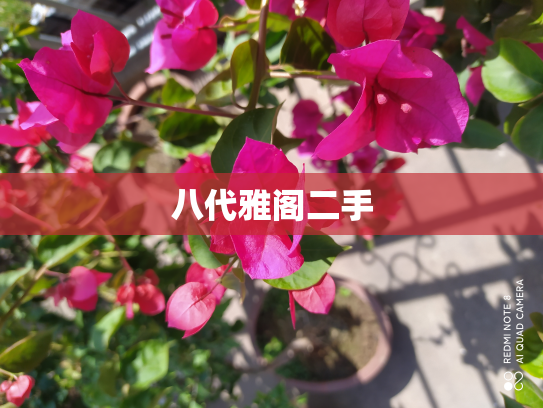八代雅阁二手