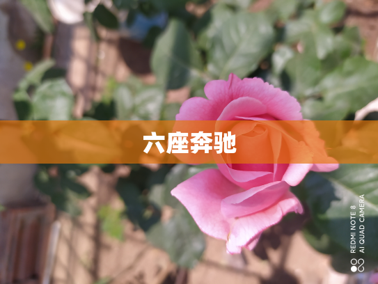 六座奔驰