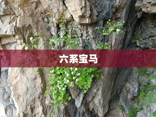 六系宝马