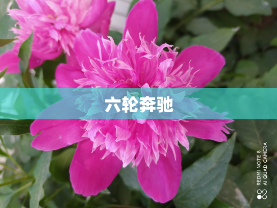 六轮奔驰