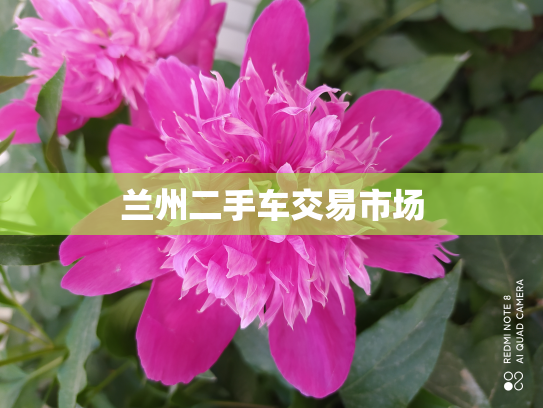 兰州二手车交易市场