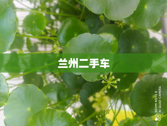 兰州二手车