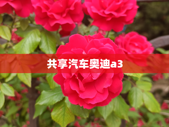 共享汽车奥迪a3
