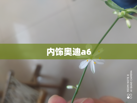 内饰奥迪a6