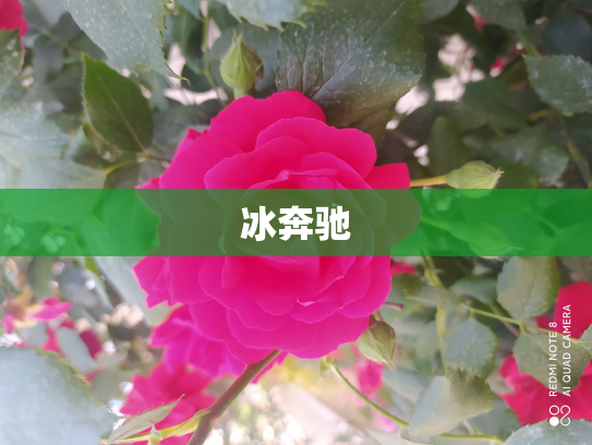 冰奔驰