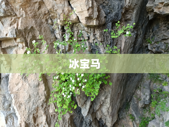 冰宝马