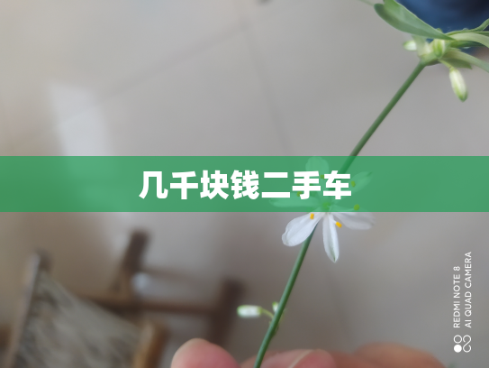几千块钱二手车