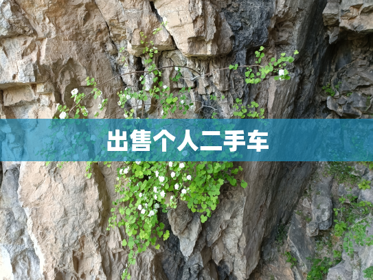 出售个人二手车