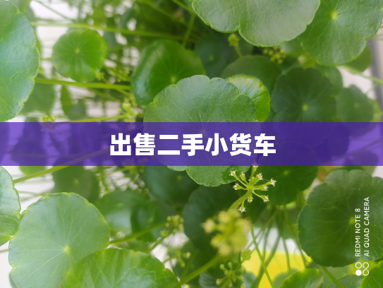 出售二手小货车