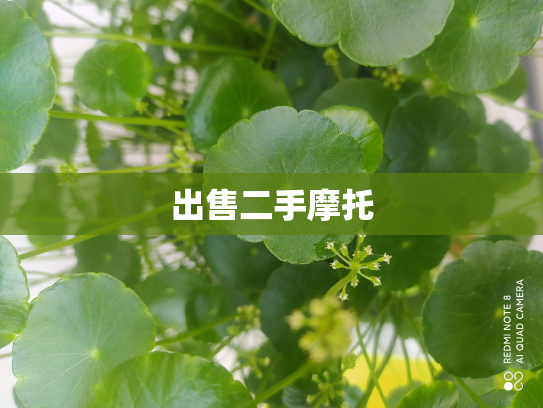 出售二手摩托