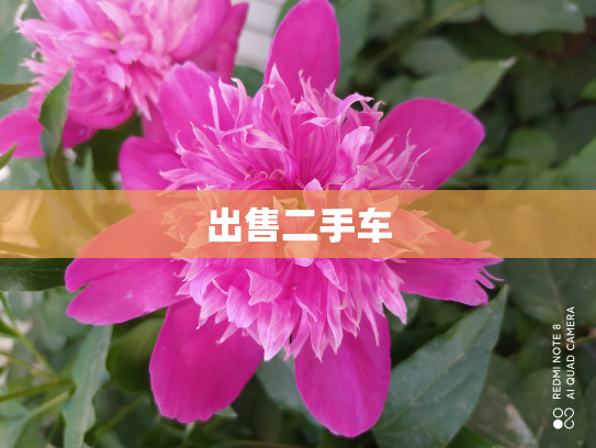 出售二手车