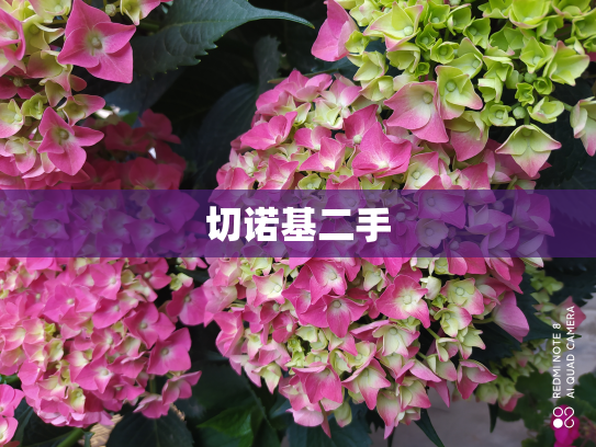 切诺基二手