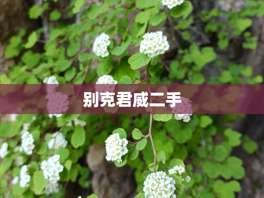 别克君威二手