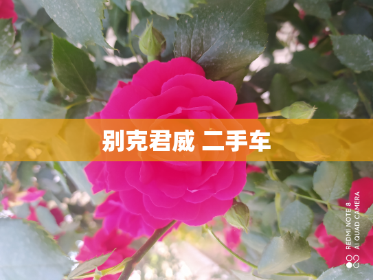 别克君威 二手车