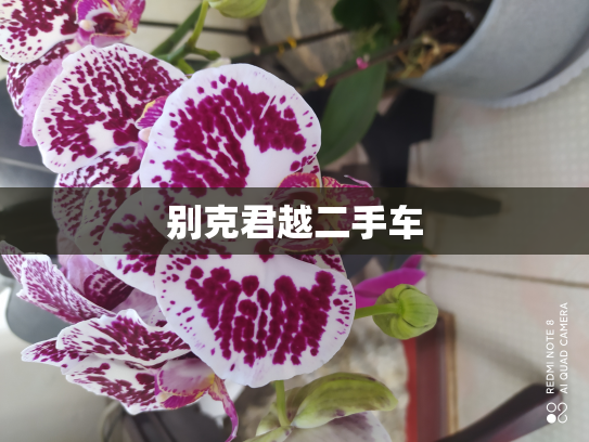 别克君越二手车