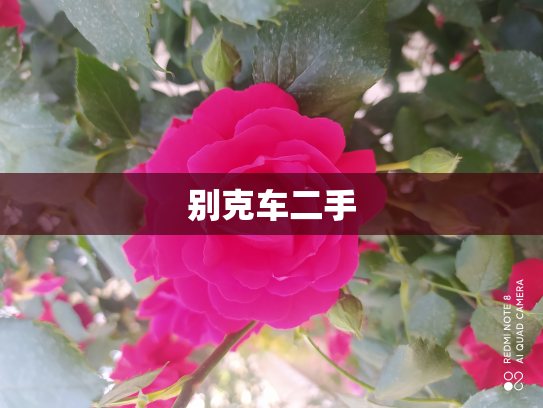别克车二手