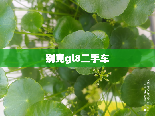 别克gl8二手车