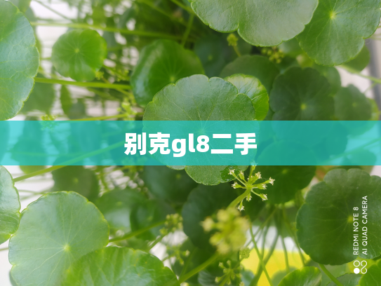 别克gl8二手