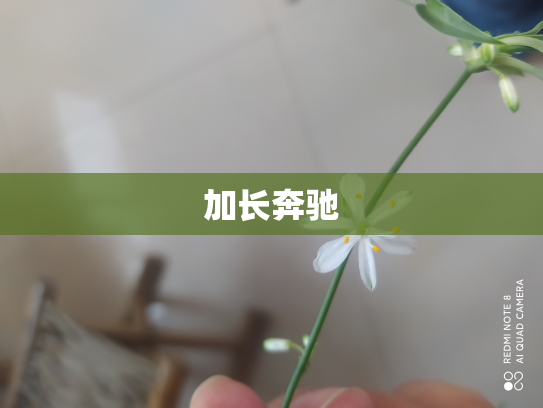加长奔驰