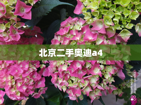 北京二手奥迪a4