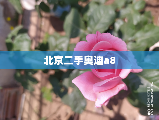 北京二手奥迪a8