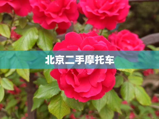 北京二手摩托车