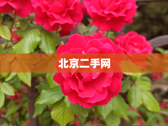 北京二手网